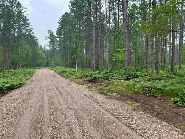 $24,900 | Tbd Parcel 1 Paint River Road, Crystal Falls, MI 49920