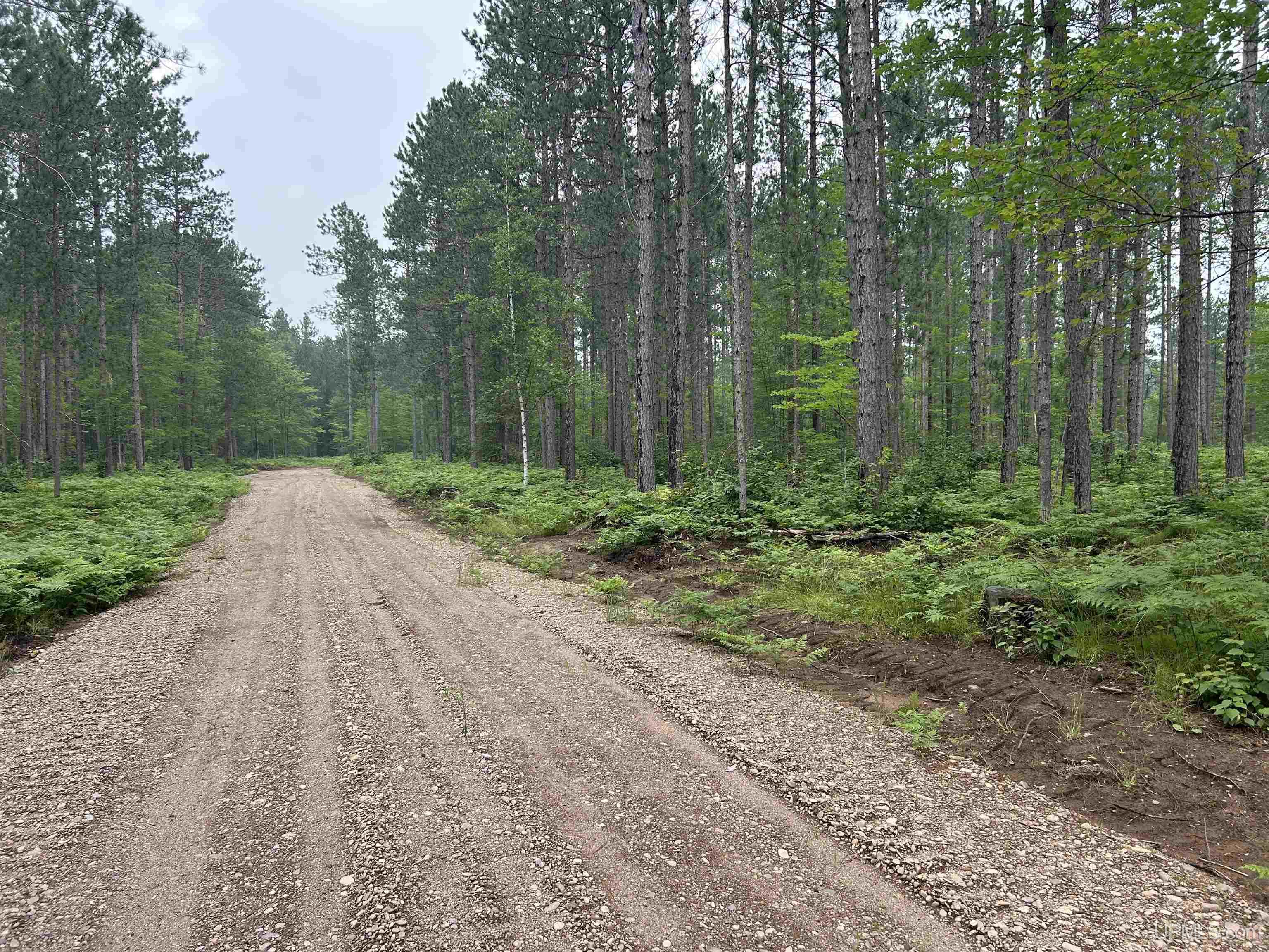 Tbd Parcel 2 Paint River Road Crystal Falls, MI 49920 - Photo 2 of 8
