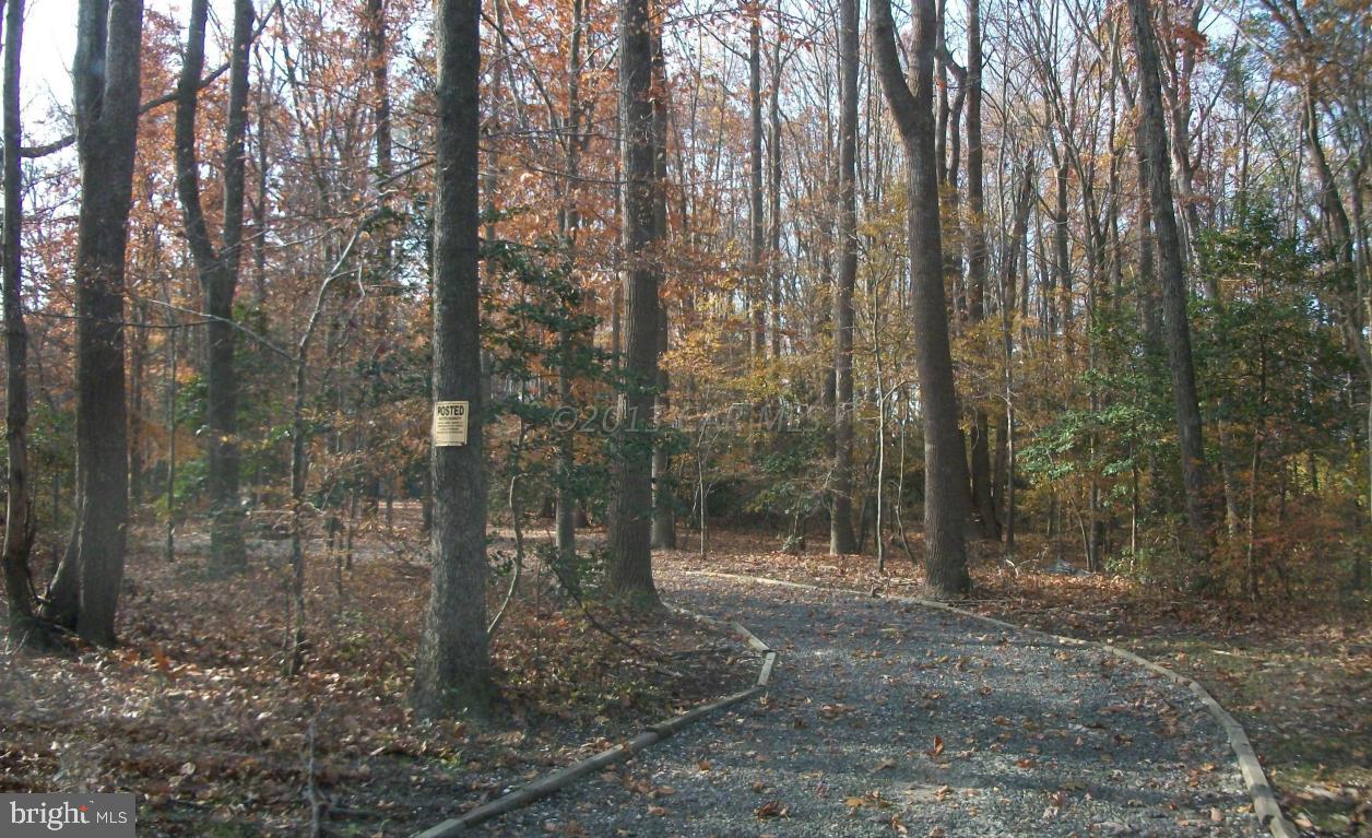 9918 Orchard Road Berlin, MD 21811 - Photo 14 of 21 Gallery Image 14