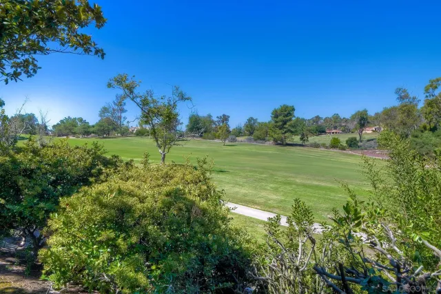 a view of a grassy area with an trees