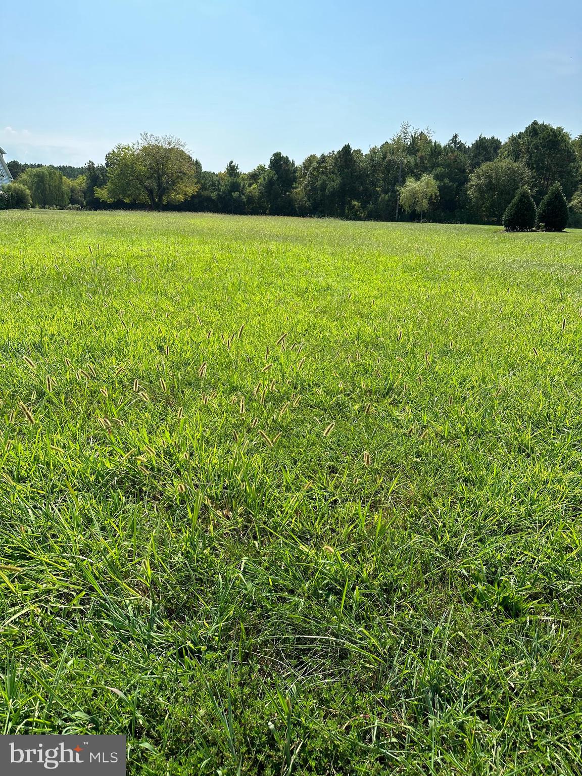 44 Ferry Landing Road Tilghman, MD 21671 - Photo 4 of 21 High Lot