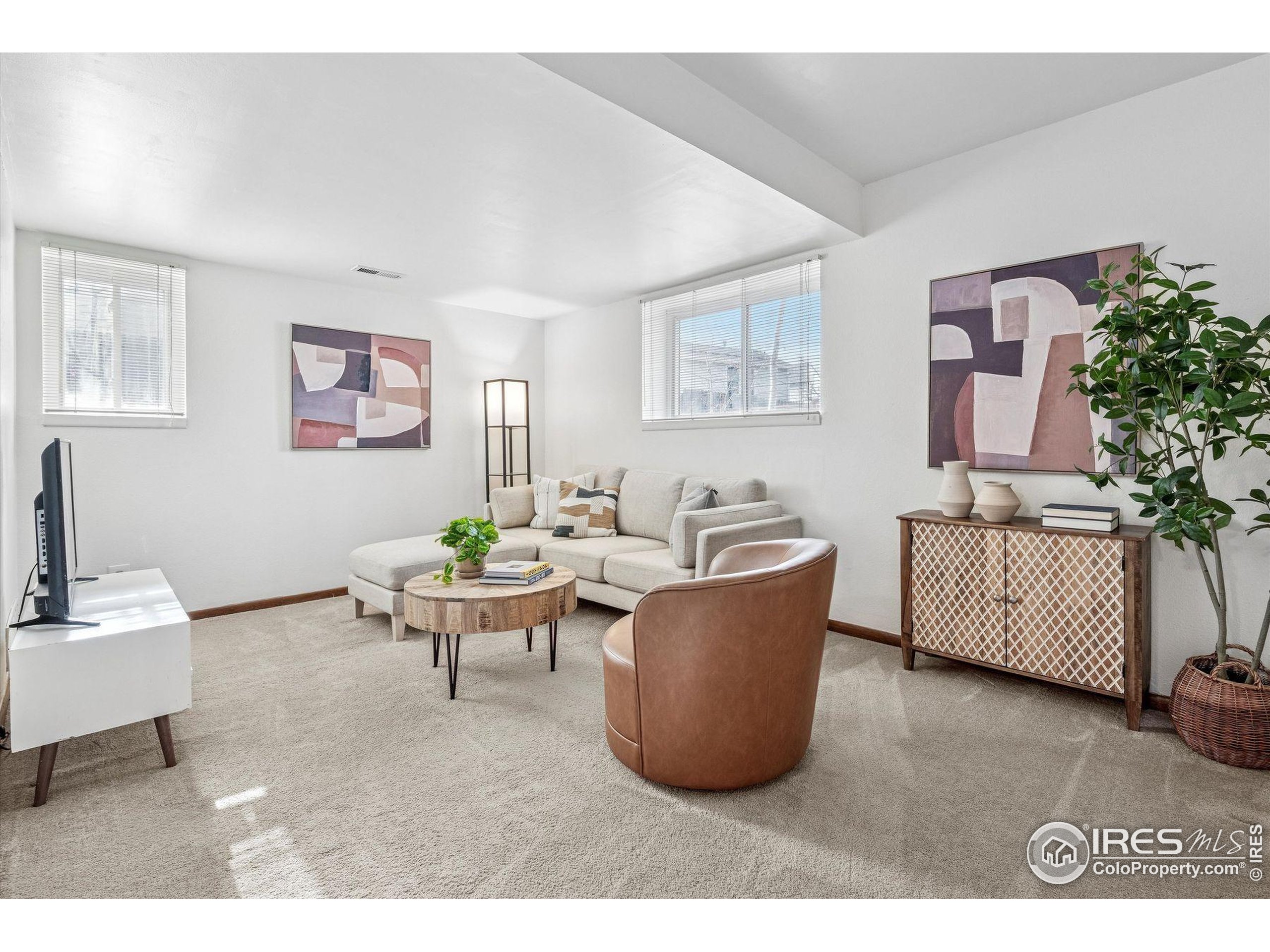 4541 Ensenada Street Denver, CO 80249 - Photo 28 of 35 a living room with furniture and a potted plant