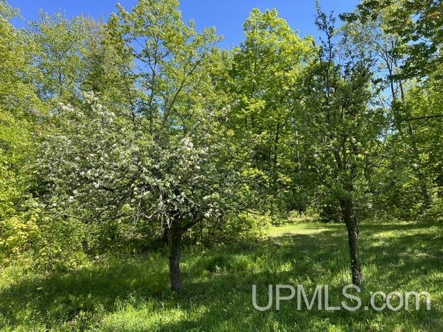 54335 Gay Road Lake Linden, MI 49945 - Photo 27 of 41