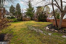 1632 Edge Hill Road Abington, PA 19001 - Photo 32 of 32 ahhh nature's beauty