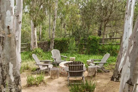 a view of a chairs and table in backyard