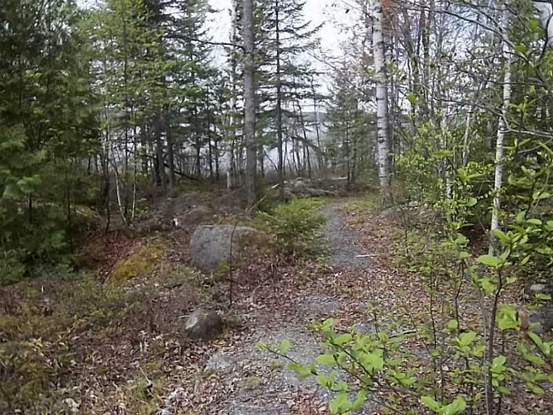 1069 Bemis Road Oquossoc, ME 04964 - Photo 11 of 15 Land. path to the lake from the circle