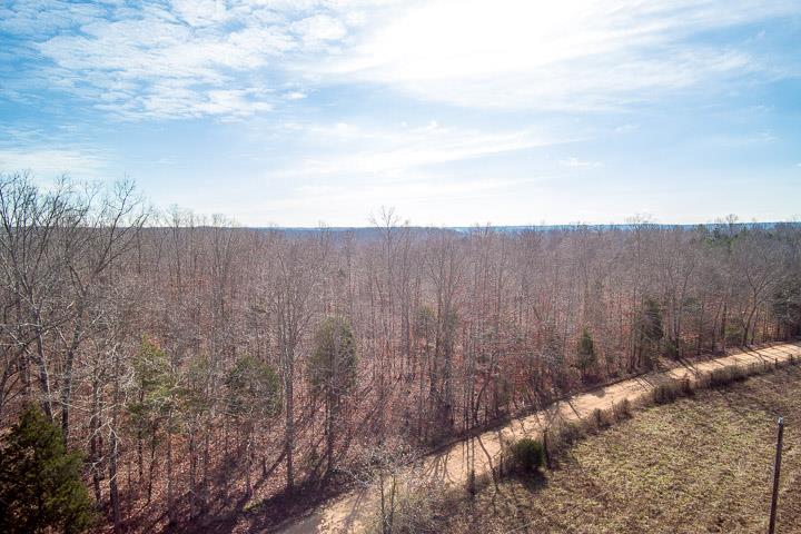 9400 Warf Road Primm Springs, TN 38476 - Photo 16 of 23 a view of a backyard