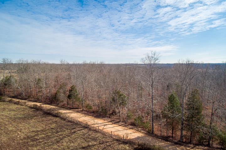 9400 Warf Road Primm Springs, TN 38476 - Photo 17 of 23 a view of a dry yard with wooden fence