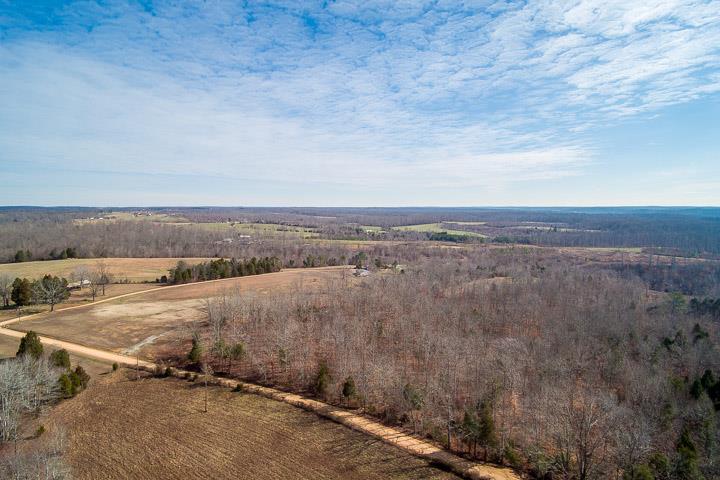 9400 Warf Road Primm Springs, TN 38476 - Photo 18 of 23 an aerial view of a houses