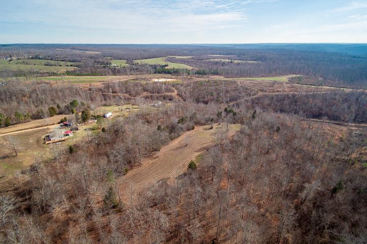 9400 Warf Road Primm Springs, TN 38476 - Photo 20 of 23 a view of lake with mountain