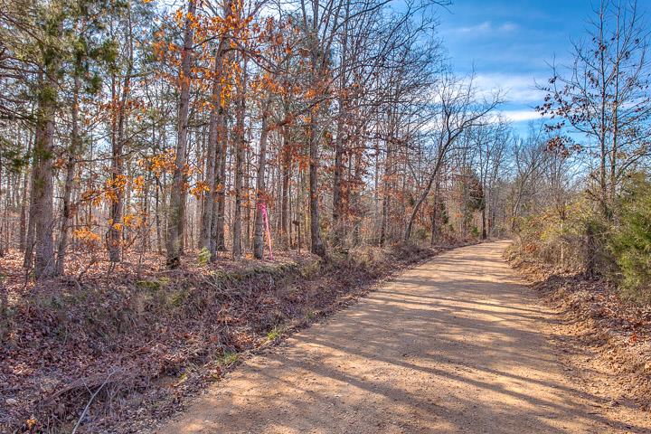9400 Warf Road Primm Springs, TN 38476 - Photo 2 of 23 a view of a backyard of the house