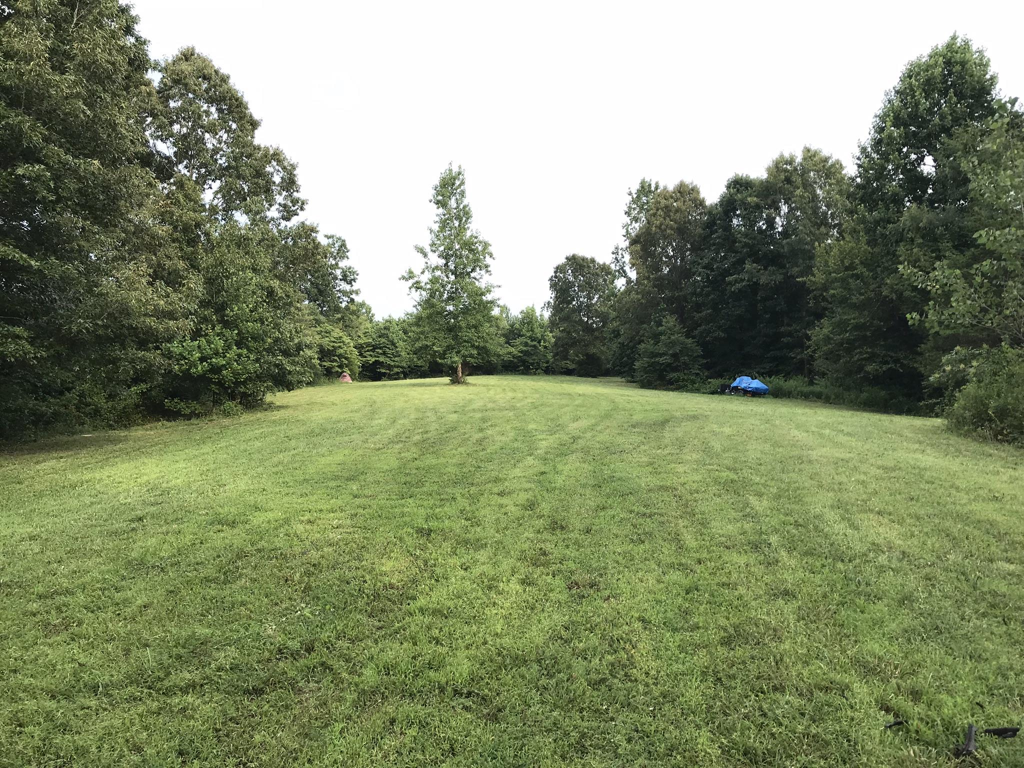 9400 Warf Road Primm Springs, TN 38476 - Photo 22 of 23 a view of a field with trees in the background