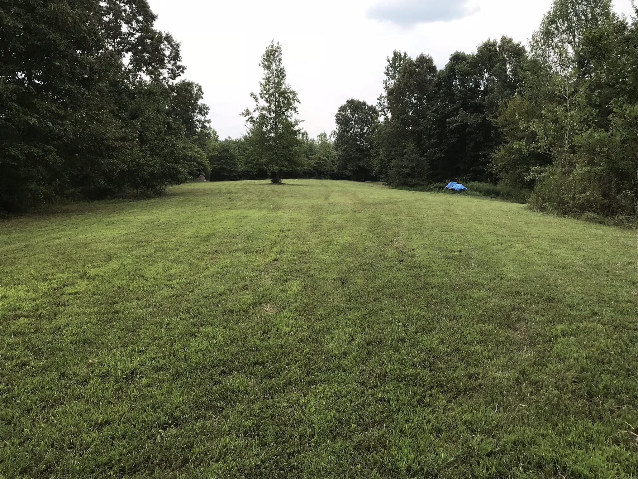 9400 Warf Road Primm Springs, TN 38476 - Photo 23 of 23 a view of a field with a trees in the background