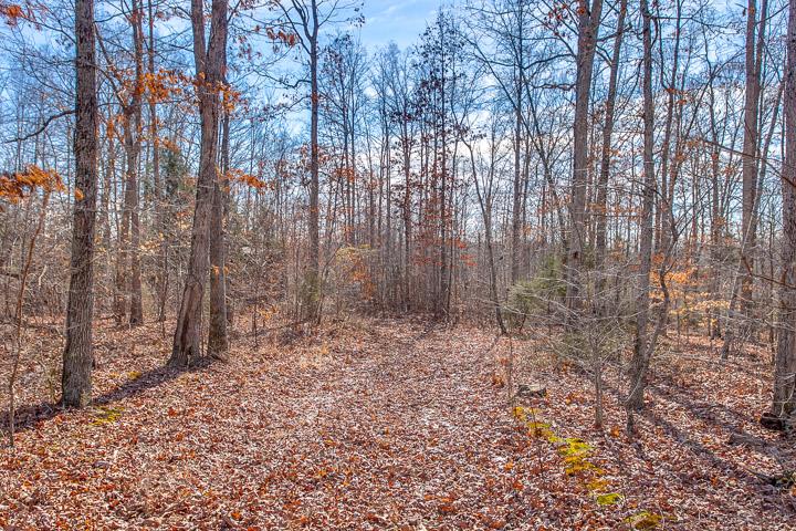 9400 Warf Road Primm Springs, TN 38476 - Photo 3 of 23 a view of small yard