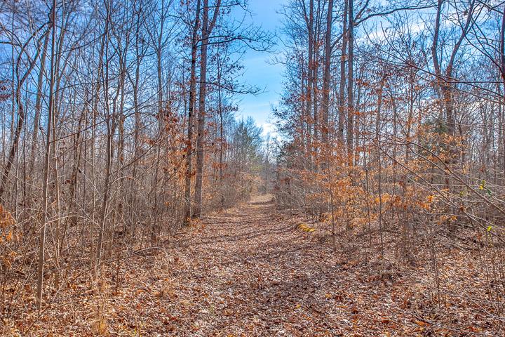 9400 Warf Road Primm Springs, TN 38476 - Photo 4 of 23 a view of empty room with trees