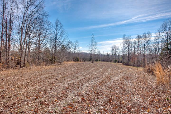 9400 Warf Road Primm Springs, TN 38476 - Photo 6 of 23 a backyard of a house