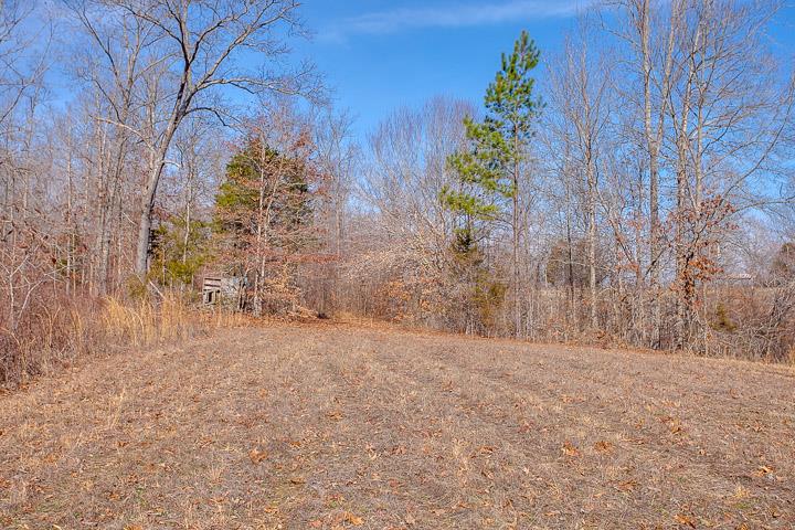 9400 Warf Road Primm Springs, TN 38476 - Photo 7 of 23 a view of a yard with a tree