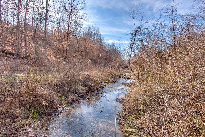 9400 Warf Road Primm Springs, TN 38476 - Photo 8 of 23 a view of a yard with a tree