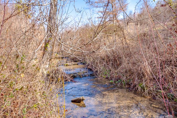 9400 Warf Road Primm Springs, TN 38476 - Photo 9 of 23 a backyard of a house