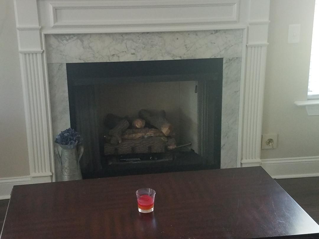 5843 Yellow Dog Road Ravenel, SC 29470 - Photo 16 of 31 gas fireplace
