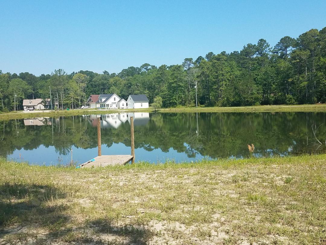 5843 Yellow Dog Road Ravenel, SC 29470 - Photo 8 of 31 large stocked pond