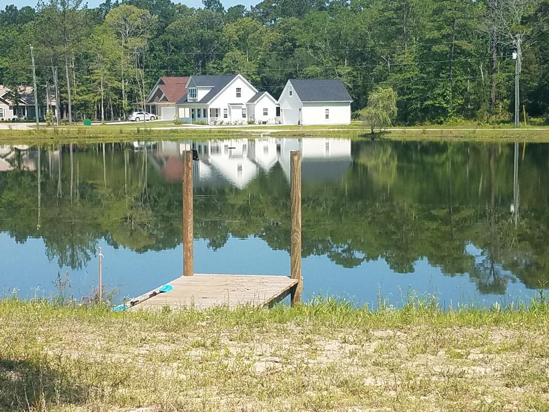 5843 Yellow Dog Road Ravenel, SC 29470 - Photo 9 of 31 private dock