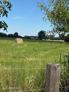 60113 Old Highway, Unit 25 SOUTH Amory, MS 38821 - Photo 26 of 29 Pasture 1