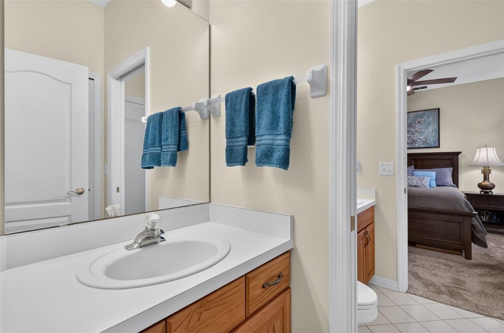 8059 Laurel Ridge Drive Mount Dora, FL 32757 - Photo 28 of 48