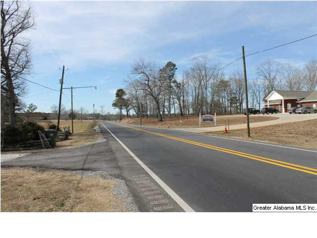 9 Highway 9, Unit 84 Lineville, AL 36266 - Photo 2 of 16