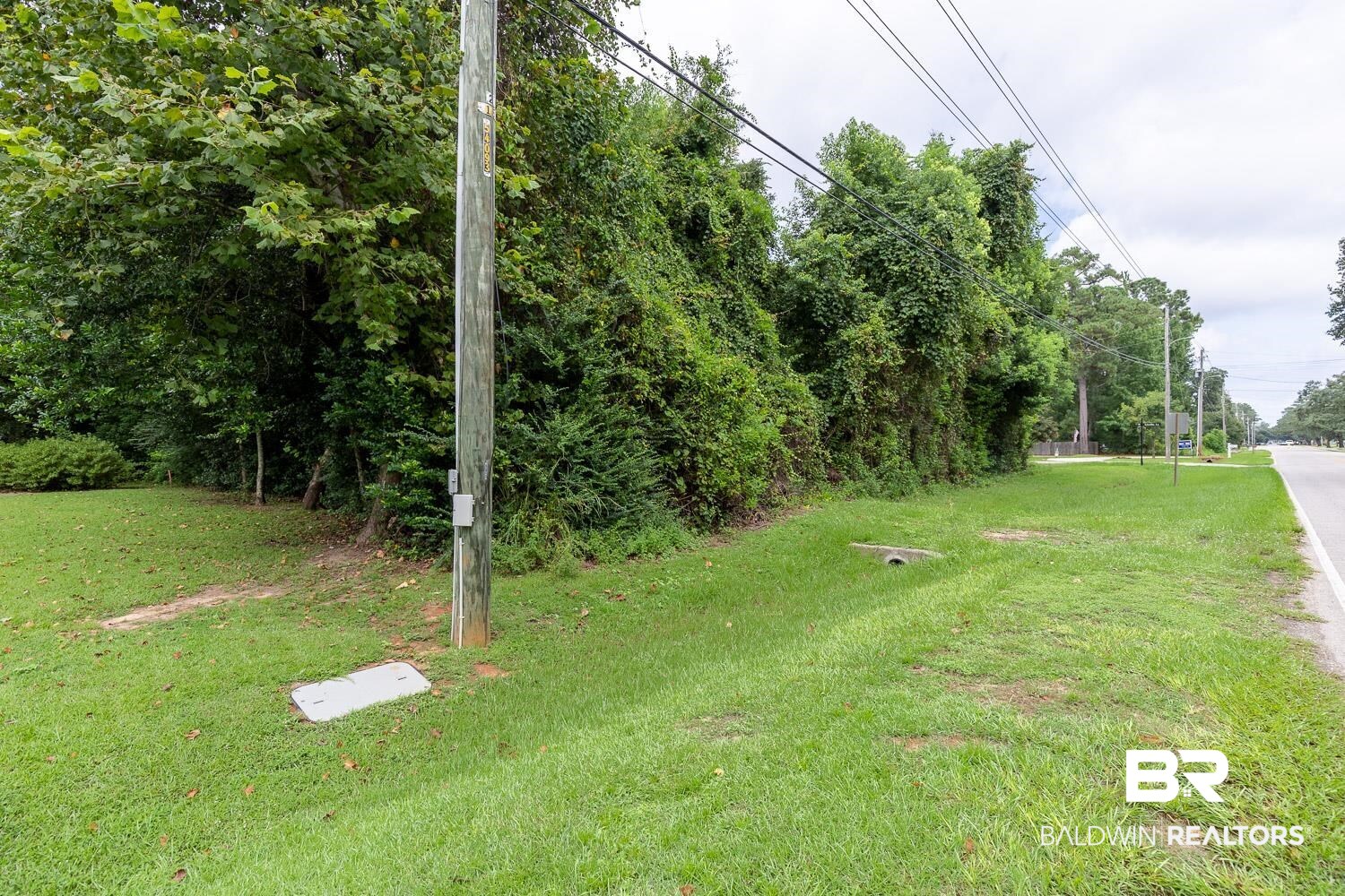 0 Main Street Daphne, AL 36526 - Photo 3 of 6
