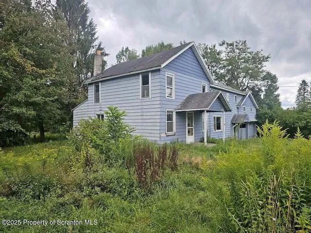 a view of a house with a small yard plants and large tree