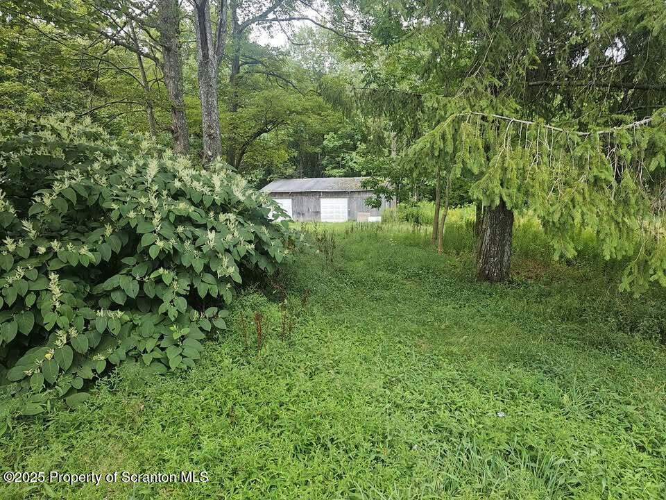 68 Oxbow Road Union Dale, PA 18470 - Photo 3 of 20 a view of a lush green forest