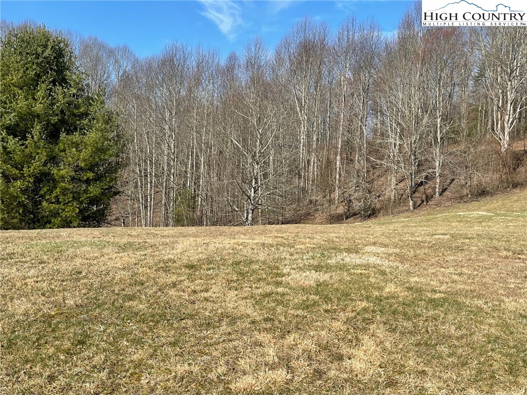 9 Jackson Ridge Road Boone, NC 28607 - Photo 9 of 11