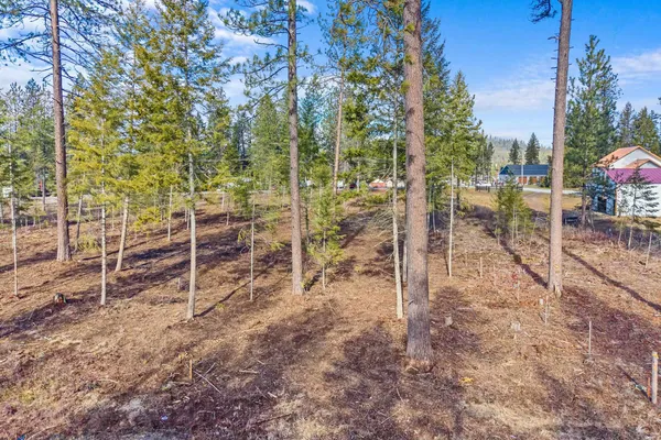 $125,000 | Lot 3 Southshore Diamond Lake Road, Newport, WA 99156