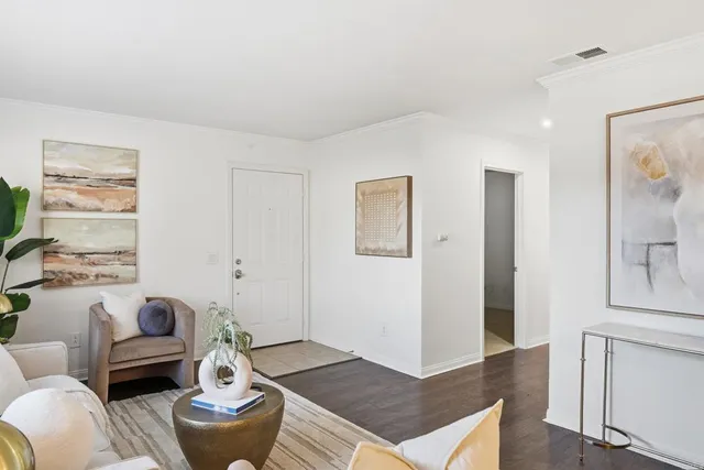 a living room with furniture and a potted plant