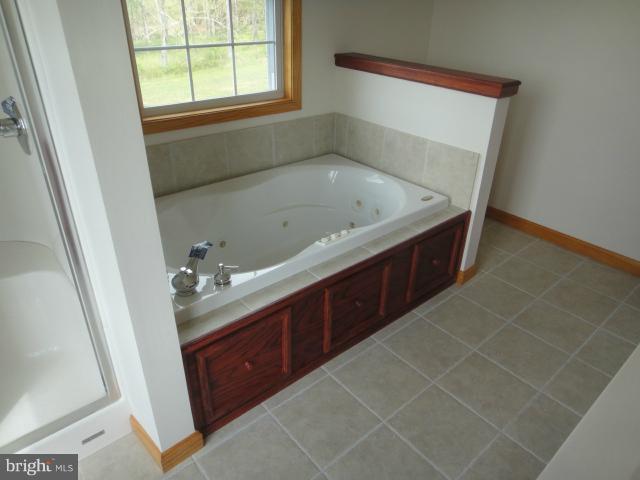 1573 Highland Ridge Road Berkeley Springs, WV 25411 - Photo 22 of 26 Bath (Master)