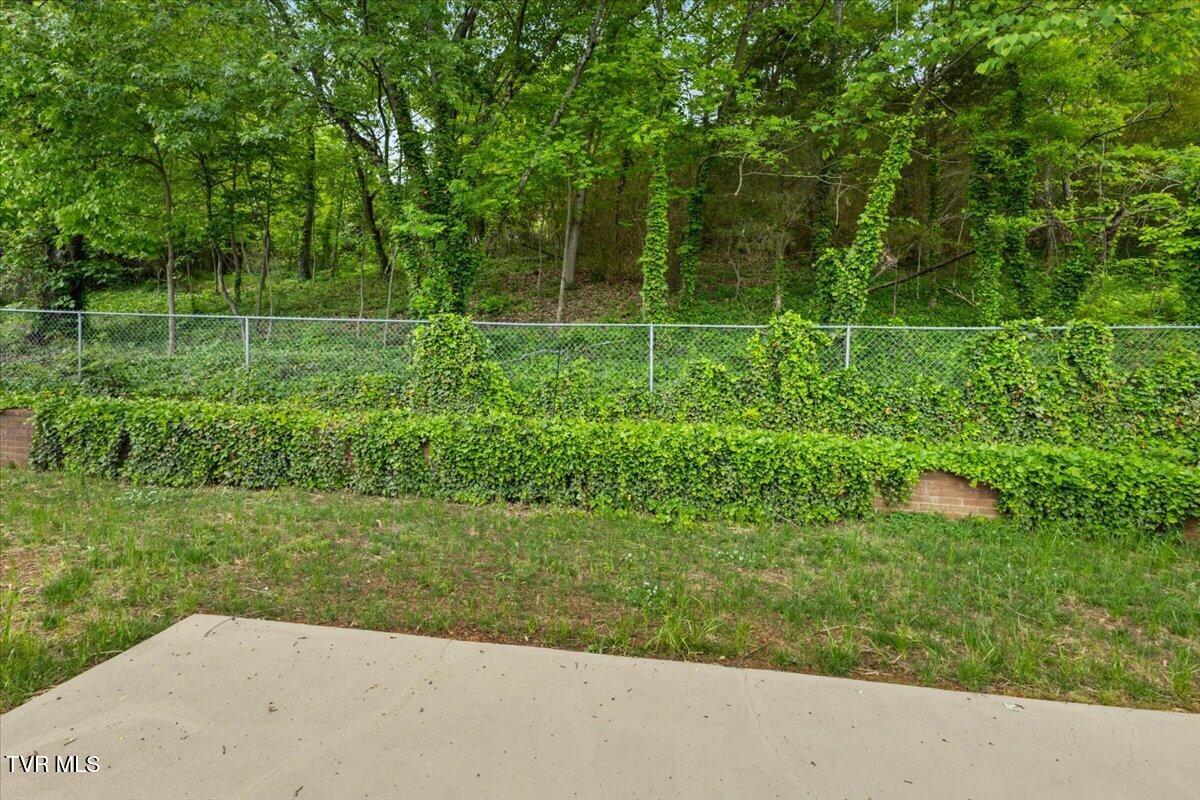 830 Foothills Road Kingsport, TN 37663 - Photo 21 of 44 40-128A6116