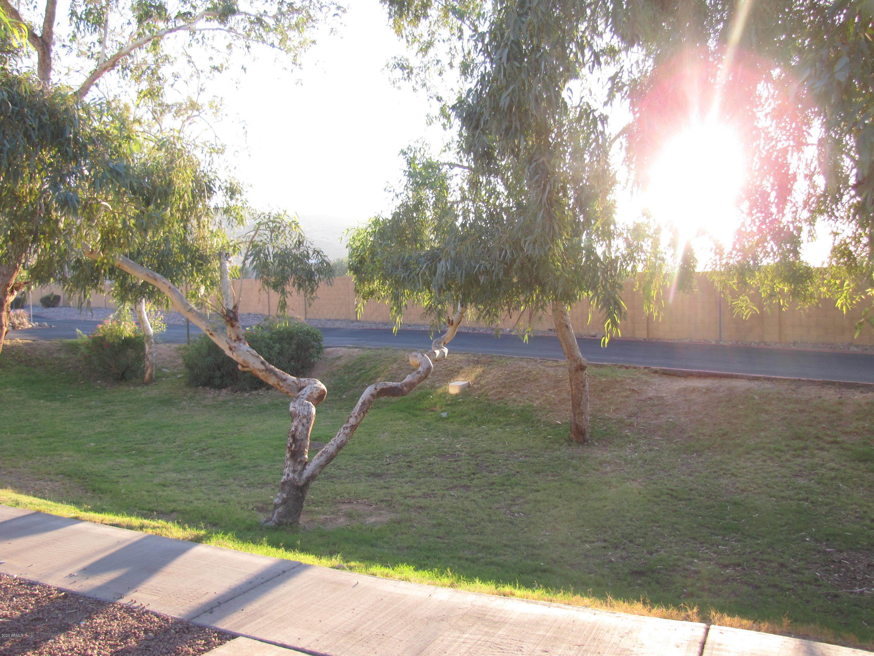 3511 East Baseline Road, Unit 1103 Phoenix, AZ 85042 - Photo 25 of 48 IMG_4808