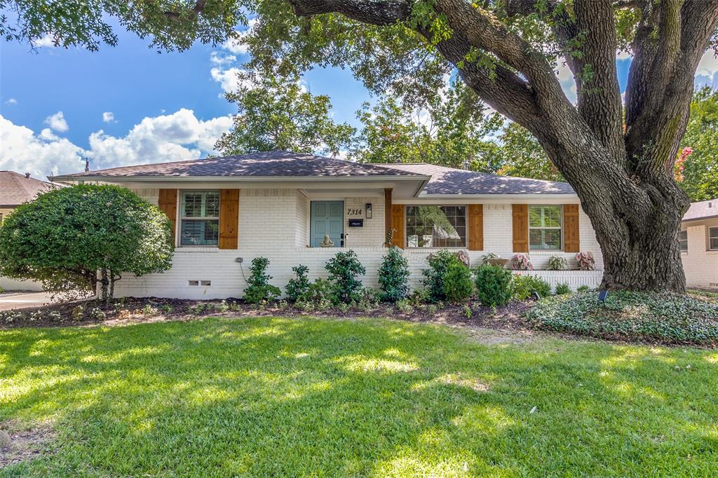 a house that has a tree in it