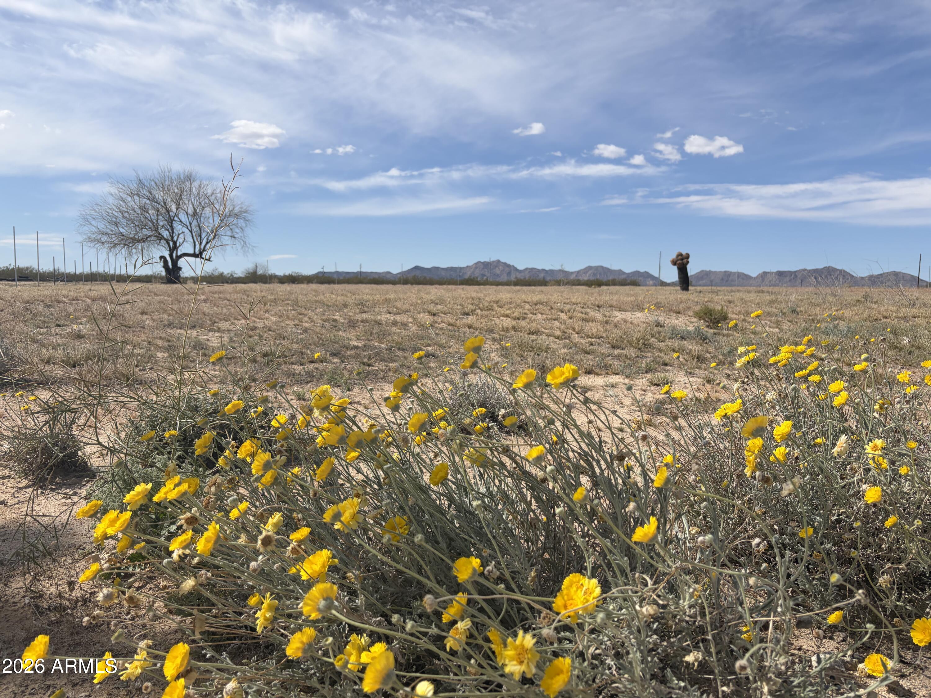 37138 Six Shooter Road, Unit 3 Salome, AZ 85348 - Photo 1 of 6 a view of lake view and mountain