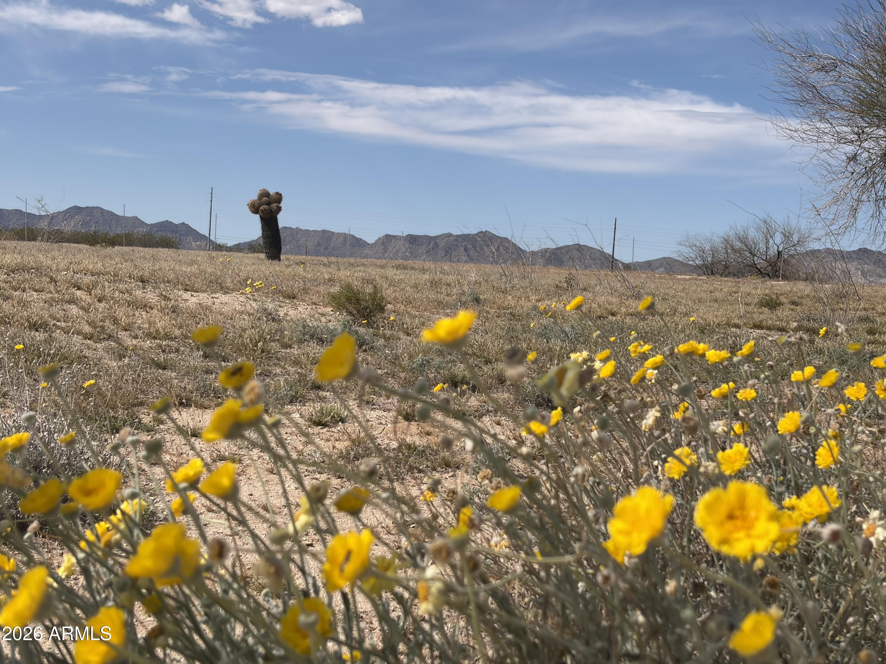 37138 Six Shooter Road, Unit 3 Salome, AZ 85348 - Photo 2 of 6 a view of a lake