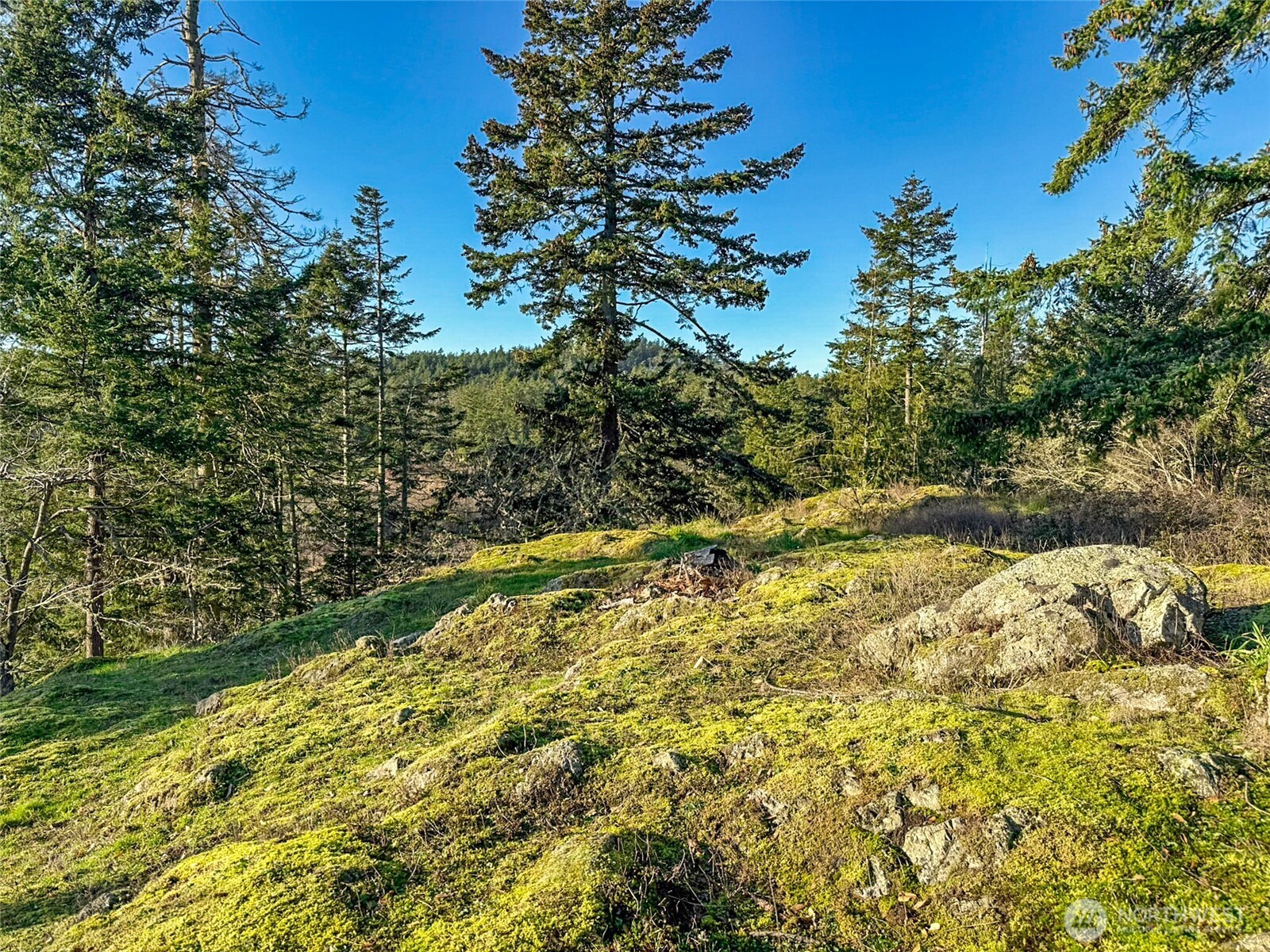 4282 Deer Harbor Road Orcas Island, WA 98245 - Photo 23 of 40