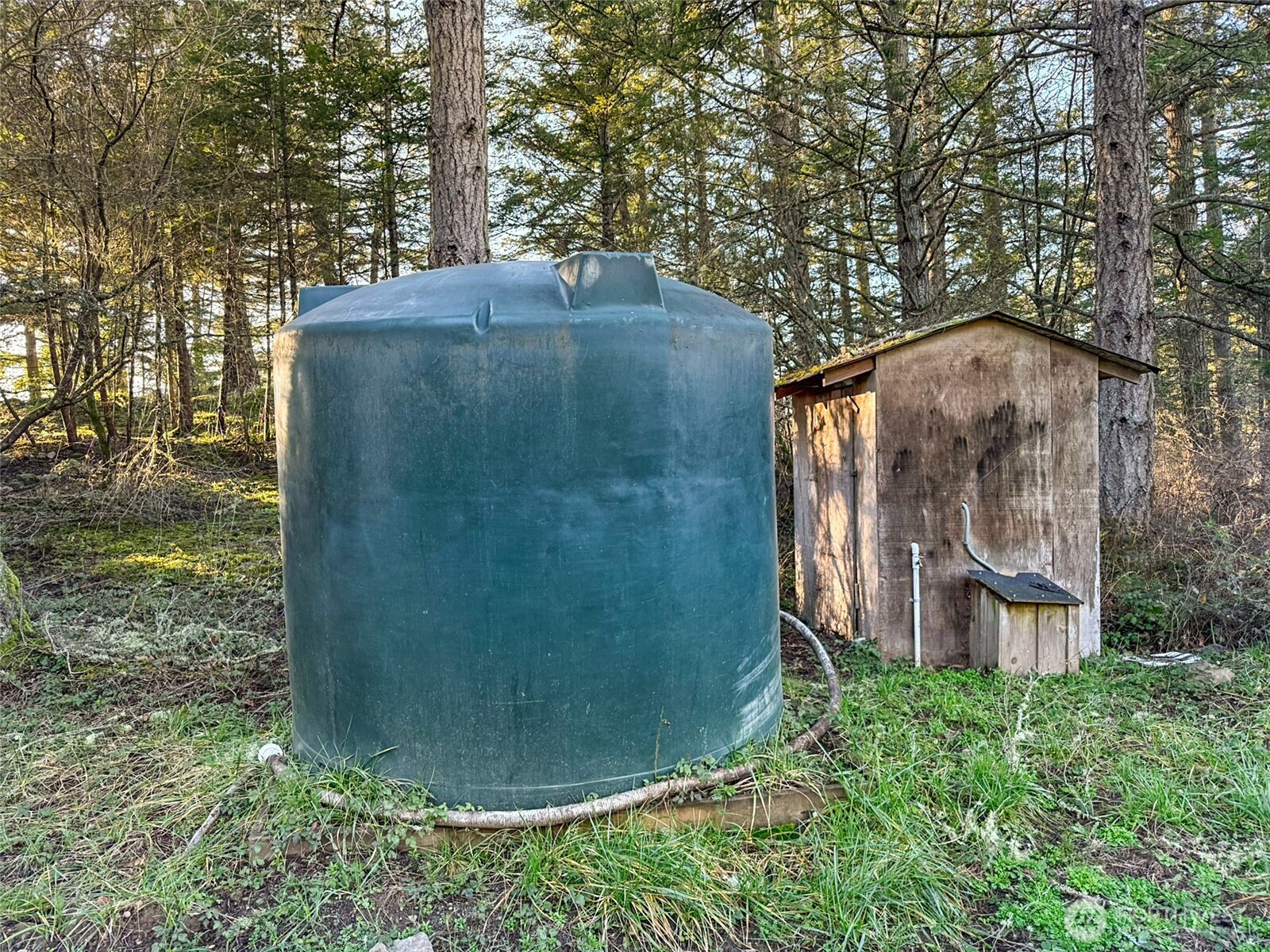 4282 Deer Harbor Road Orcas Island, WA 98245 - Photo 26 of 40