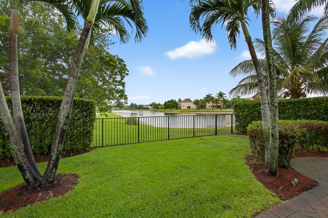 a view of a garden with a tree