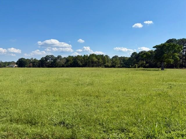 31248 Holmesville Road Mount Hermon, LA 70450 - Photo 17 of 20