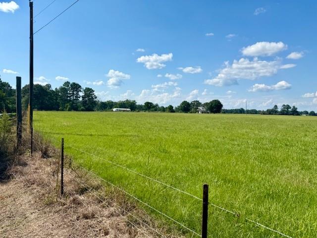 31248 Holmesville Road Mount Hermon, LA 70450 - Photo 3 of 20