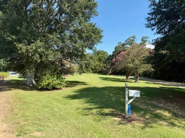 31248 Holmesville Road Mount Hermon, LA 70450 - Photo 7 of 20