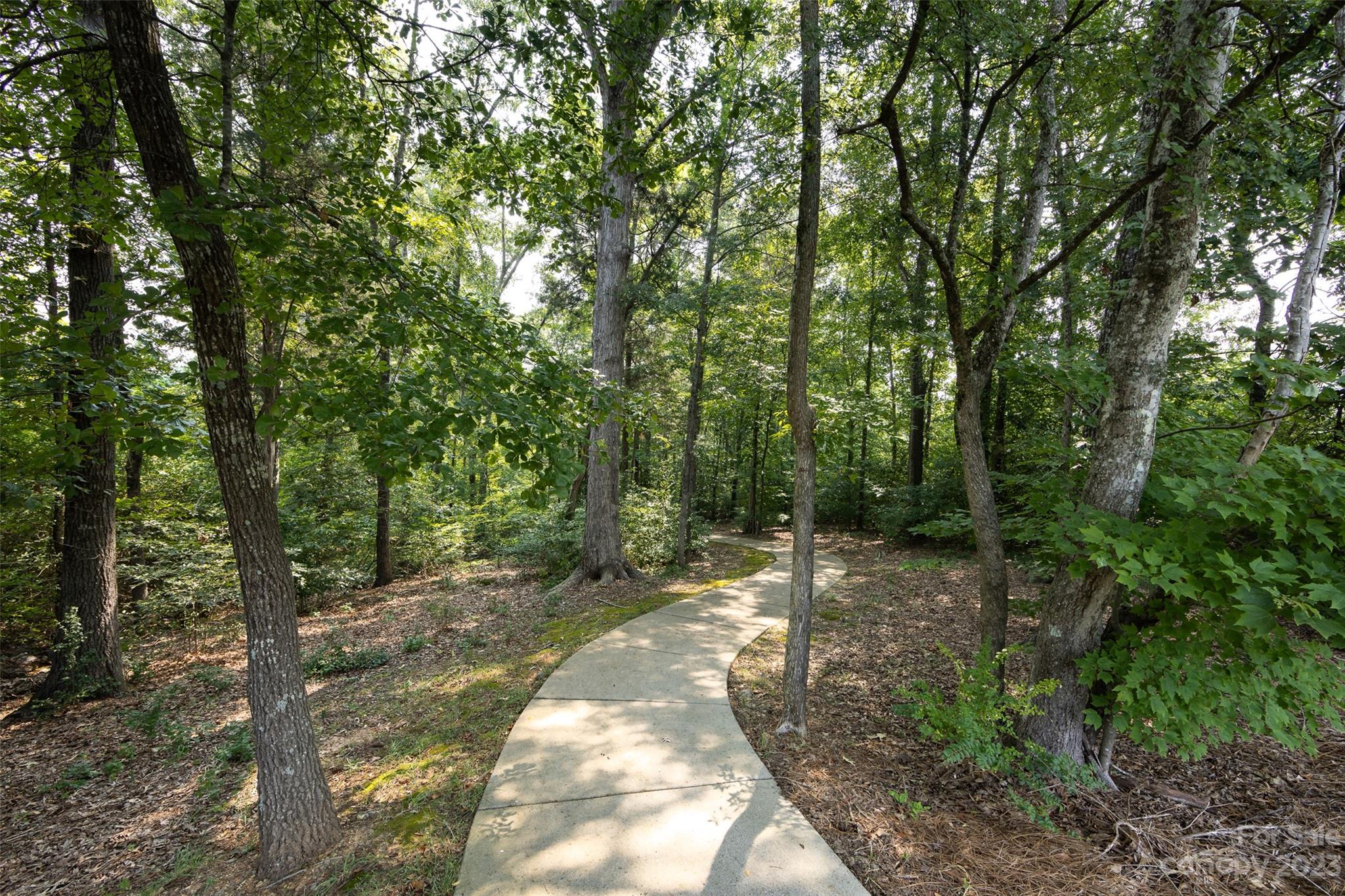 4087 Perth Road Indian Land, SC 29707 - Photo 45 of 46 a view of a forest with trees in the background