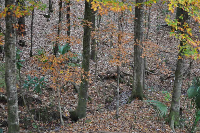 8008 Patricks Ldg Road Bay Minette, AL 36507 - Photo 8 of 33