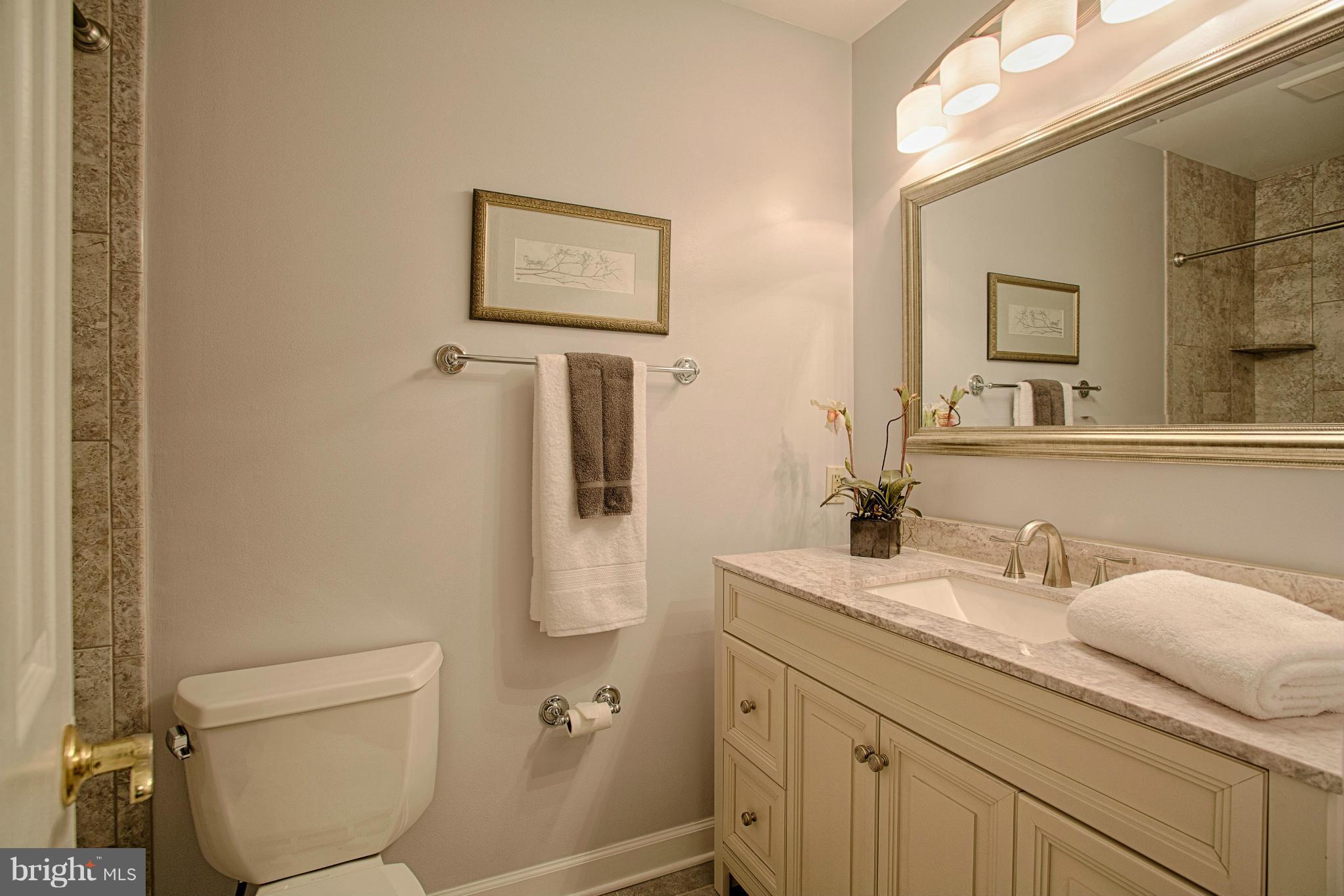 11311 Fieldstone Lane Reston, VA 20191 - Photo 19 of 30 a bathroom with a toilet sink and mirror